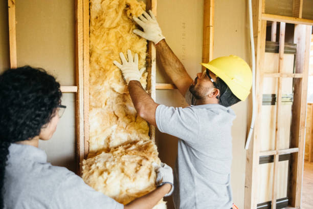 Insulation Repair Services in Cape Charles, VA