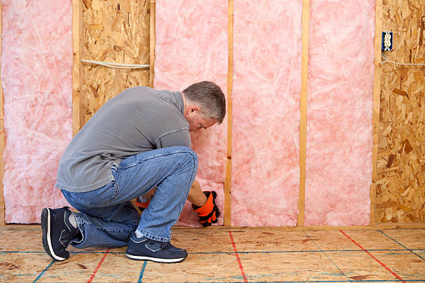 Best Blown-in Insulation  in Cape Charles, VA