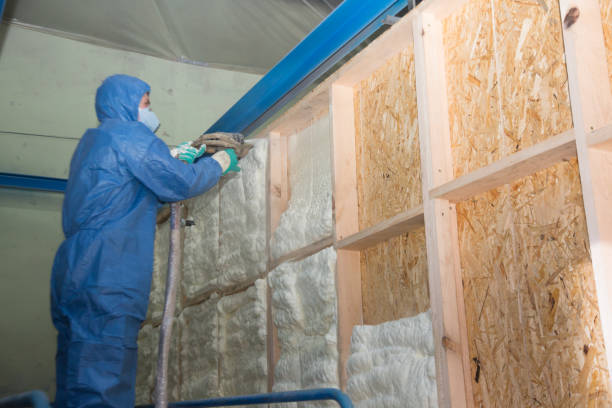 Insulation Repair Services in Cape Charles, VA
