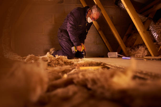 Best Soundproof Insulation Installation  in Cape Charles, VA